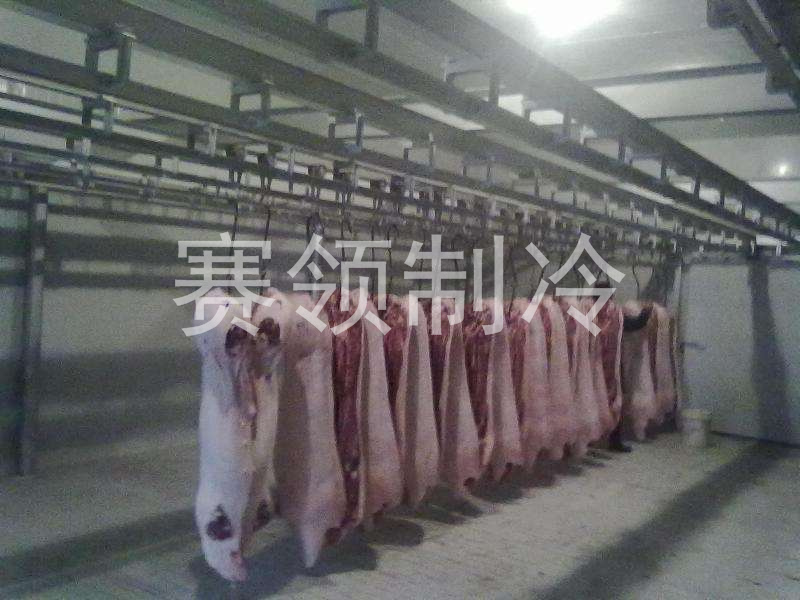 肉类冷库,肉类冷库厂家,肉类冷库建造,肉类冷库设计,肉类冷库价格表